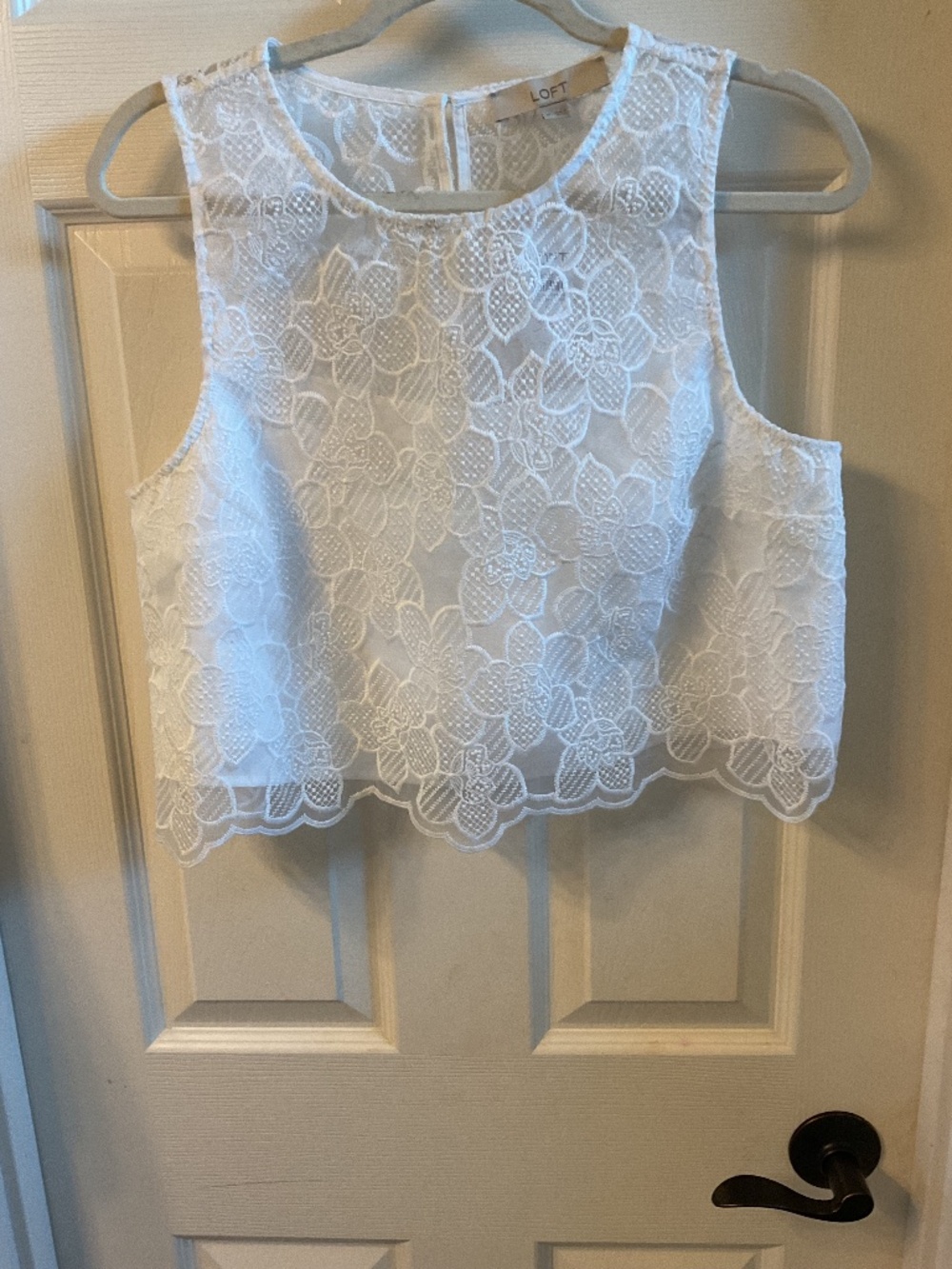 Loft sleeveless lined crop lace top